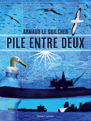 cover image of Pile entre deux